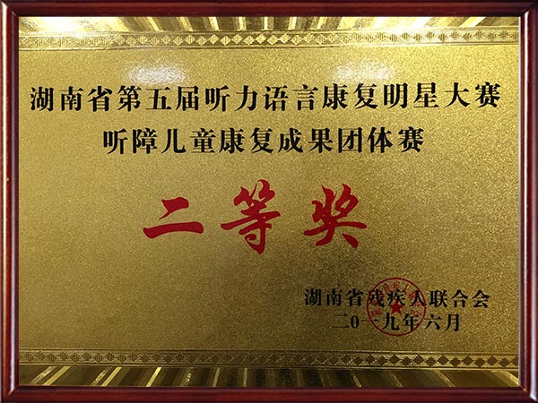 湖南省第五届听力语言康复明星大赛二等奖