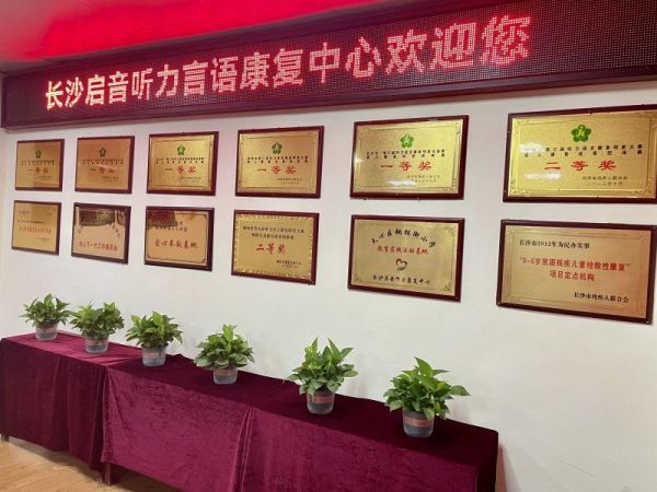 中心荣誉